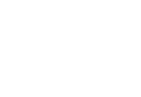 Digilube Systems Logo