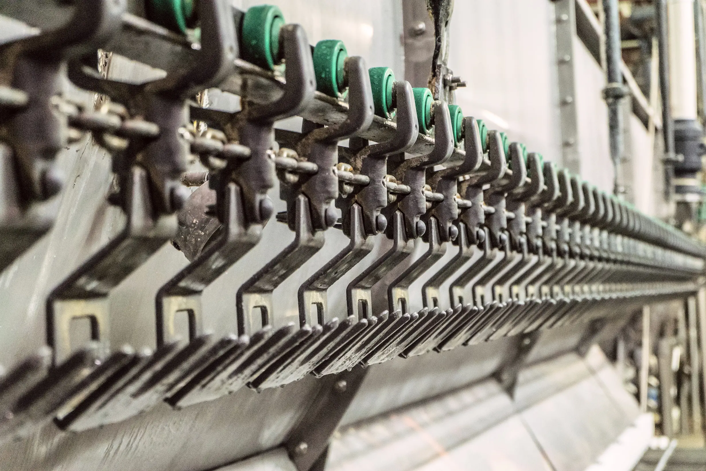 Poultry Conveyor